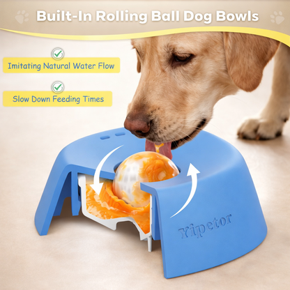 Dog & Cat Lick Bowl Slow Feeder Toy - Anti-Slip Pet Licking Bowl for Dogs & Cats